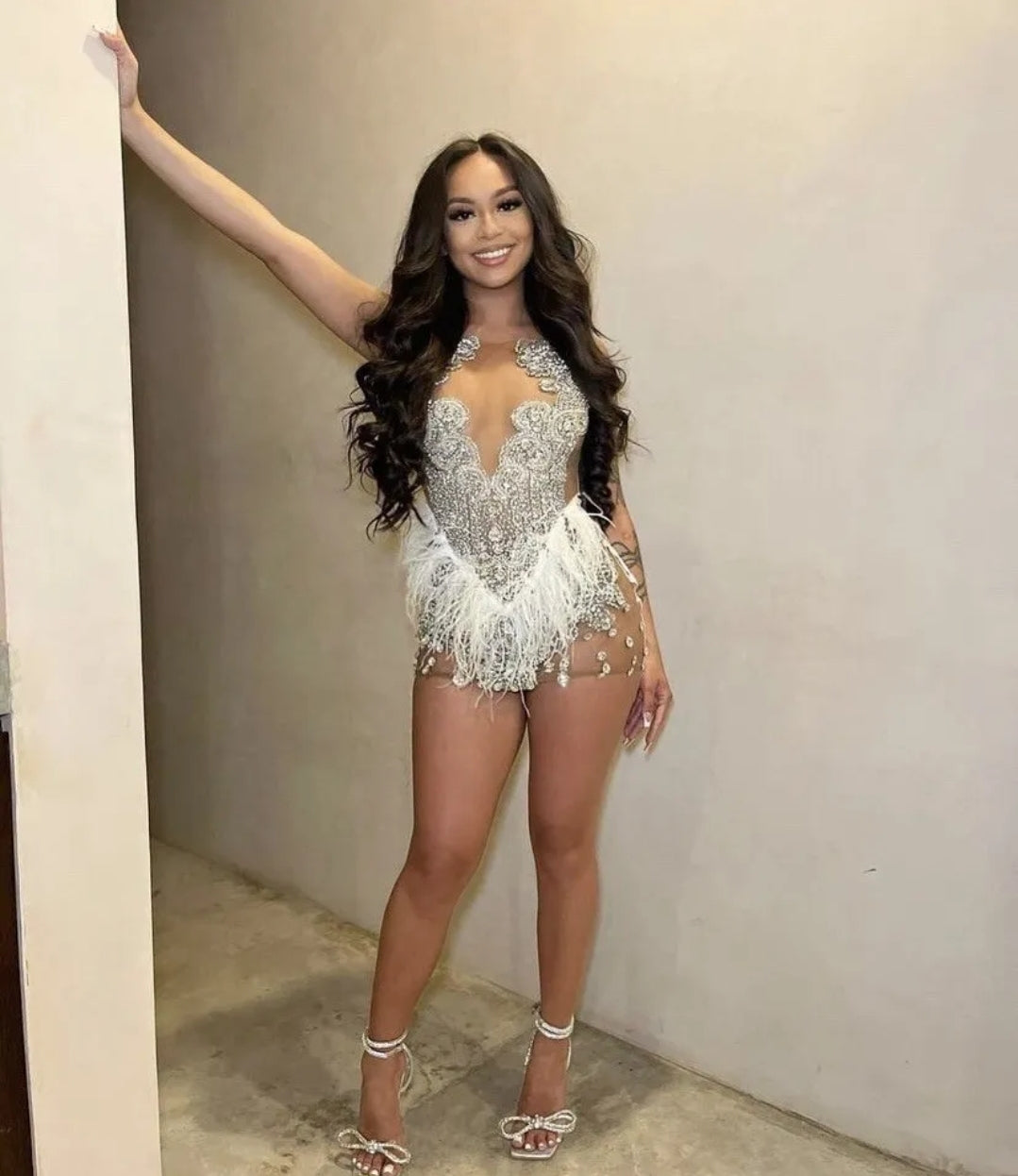 Brenda Mesh Feathers Dress