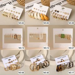 Exquisite Earrings Set