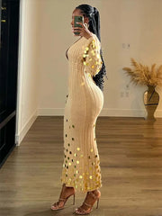 Amara Sequin Knit Maxi Dress
